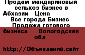 Продам мандариновый сельхоз-бизнес в Абхазии › Цена ­ 1 000 000 - Все города Бизнес » Продажа готового бизнеса   . Вологодская обл.